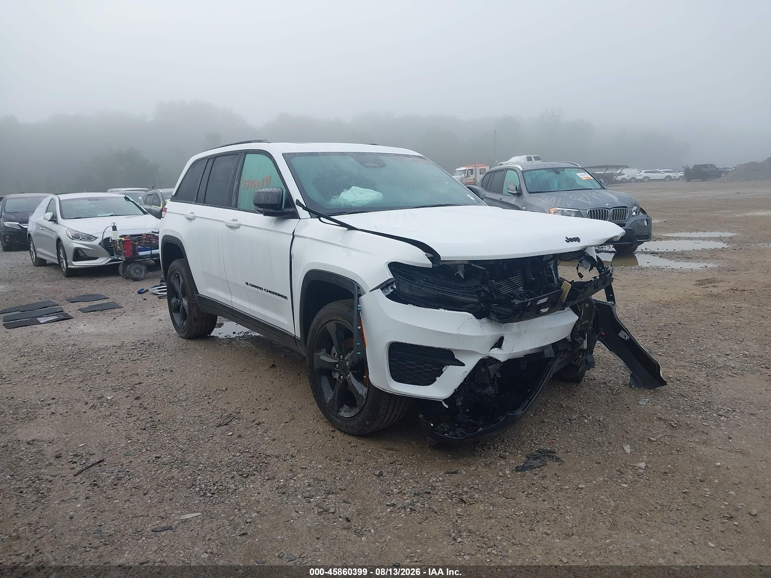 2025 Jeep Grand Cherokee VIN 1C4RJHAG5SC341099 — IAAI salvage auction photo