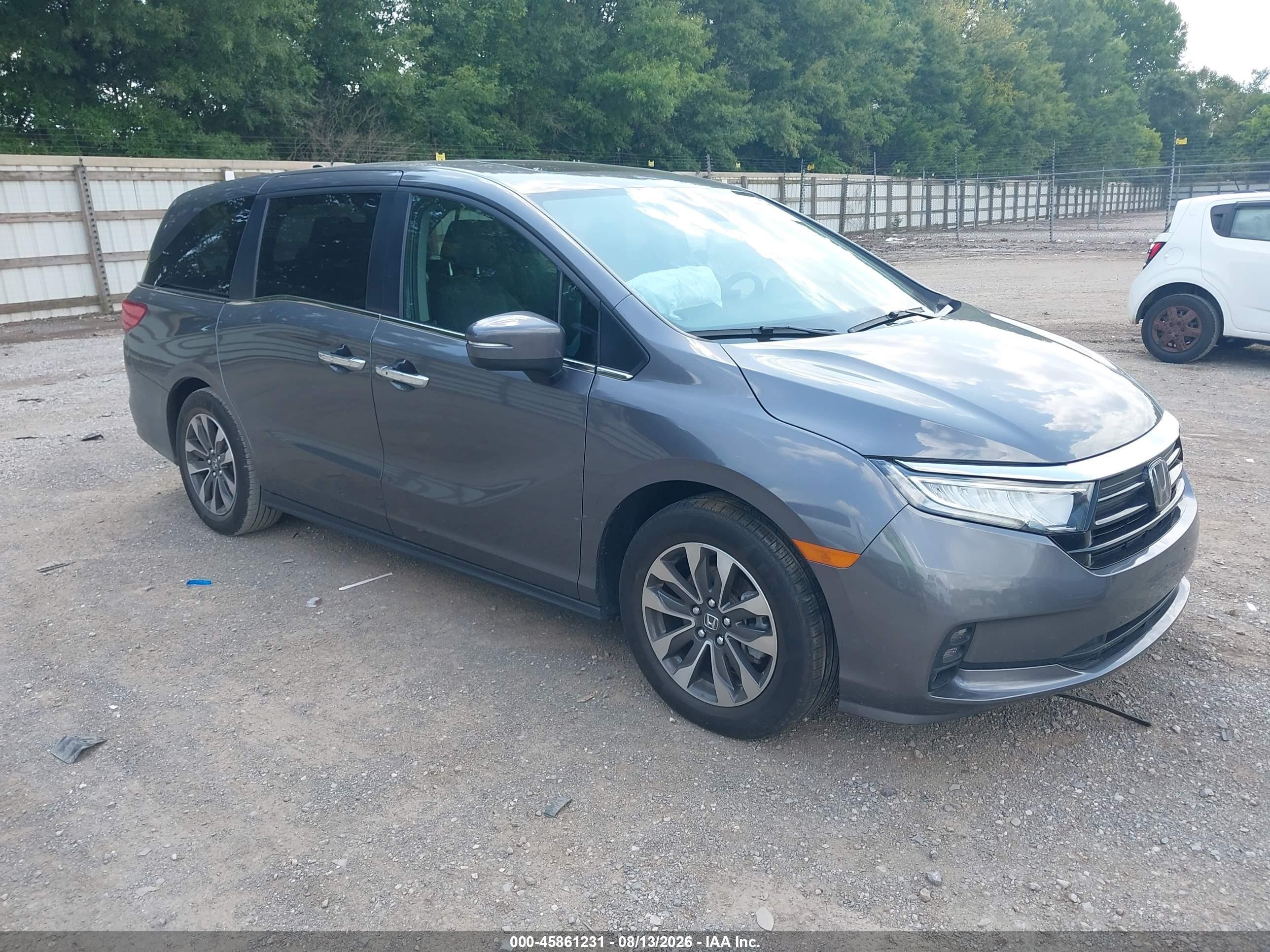 2024 Honda Odyssey VIN 5FNRL6H67RB071169 — IAAI salvage auction photo