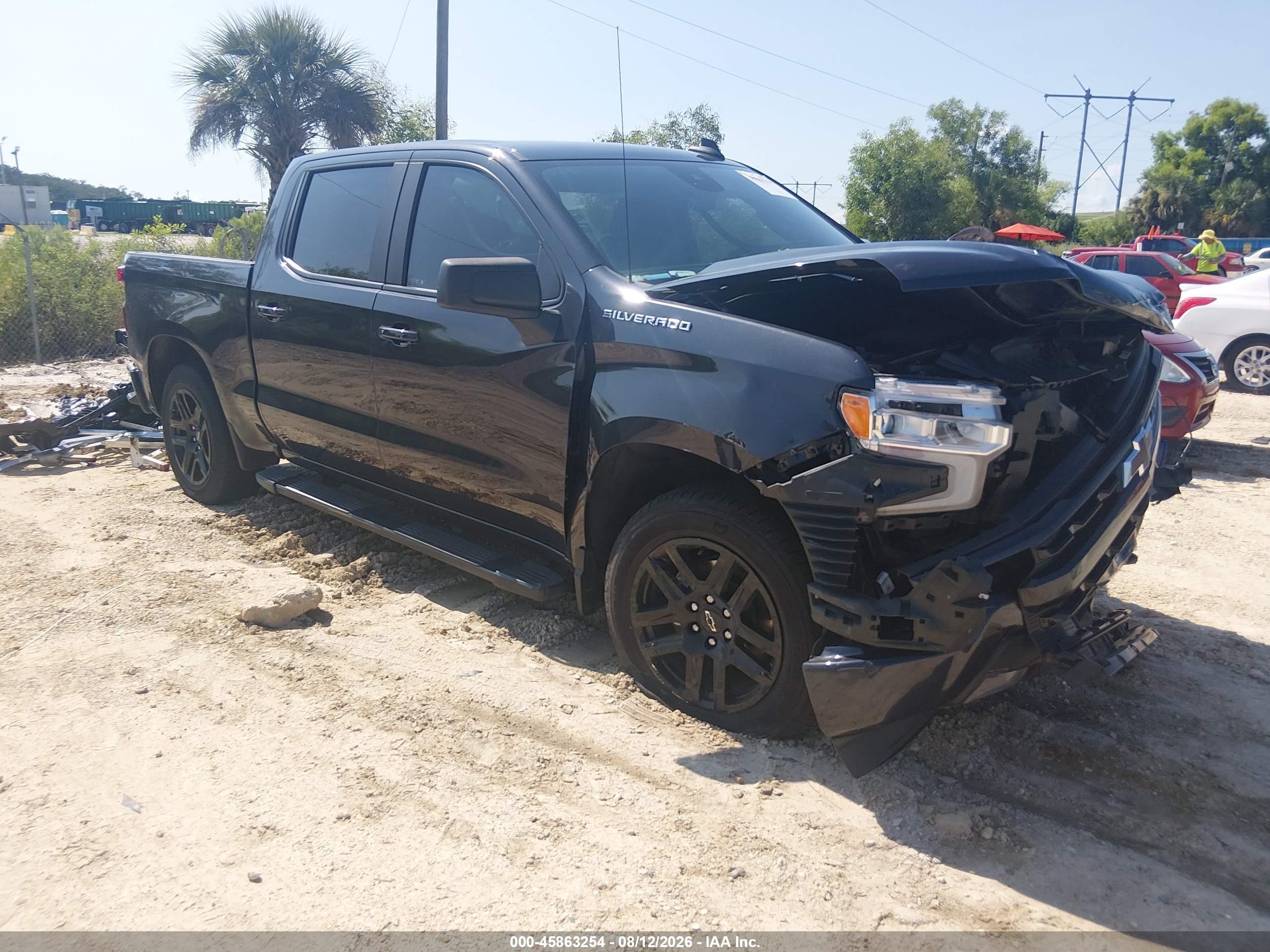 2023 Chevrolet Silverado 1500 VIN 1GCPADED2PZ250599 — IAAI salvage auction photo