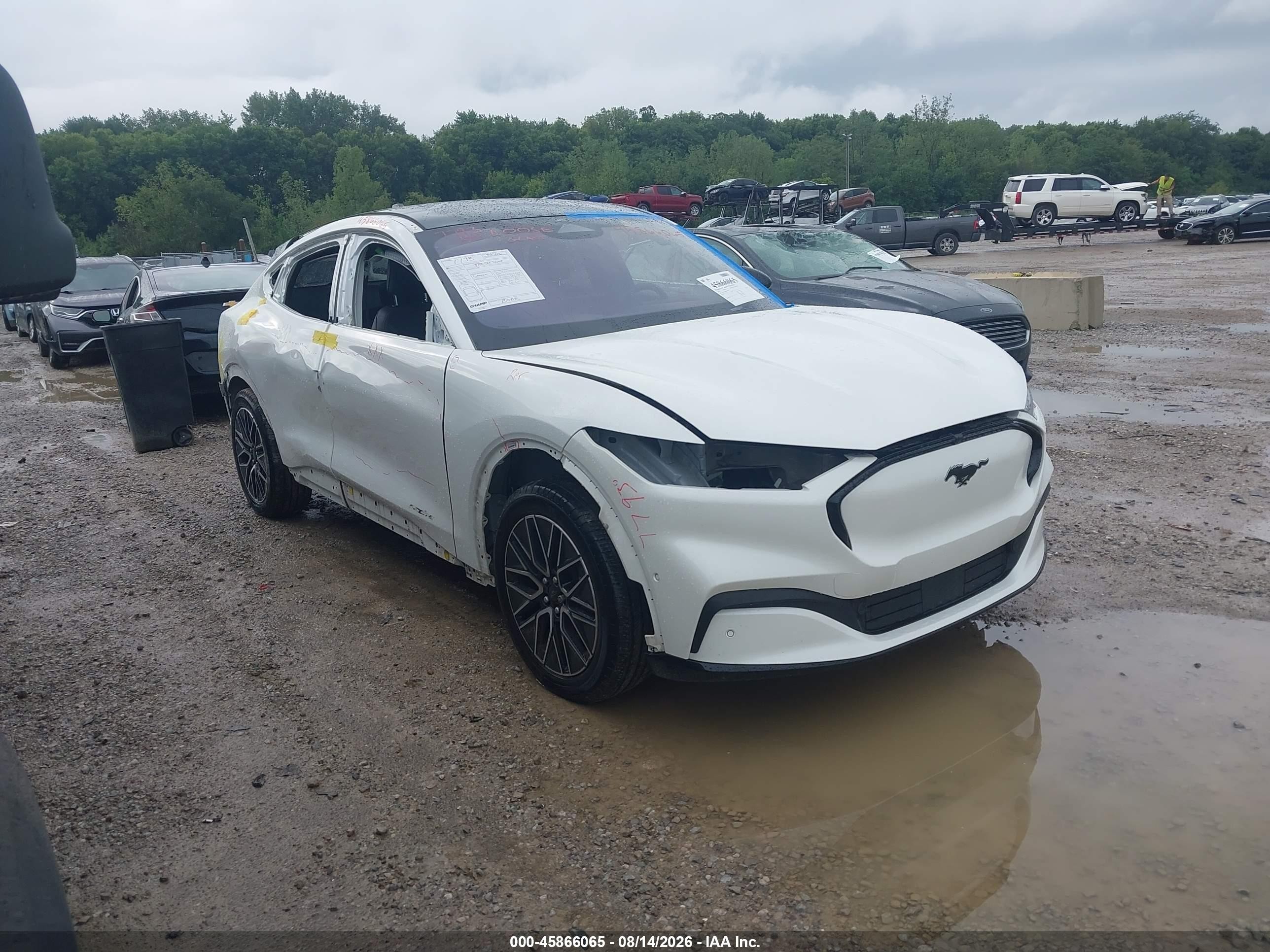 2024 Ford Mustang Mach-E VIN 3FMTK3R40RMA06904 — IAAI salvage auction photo