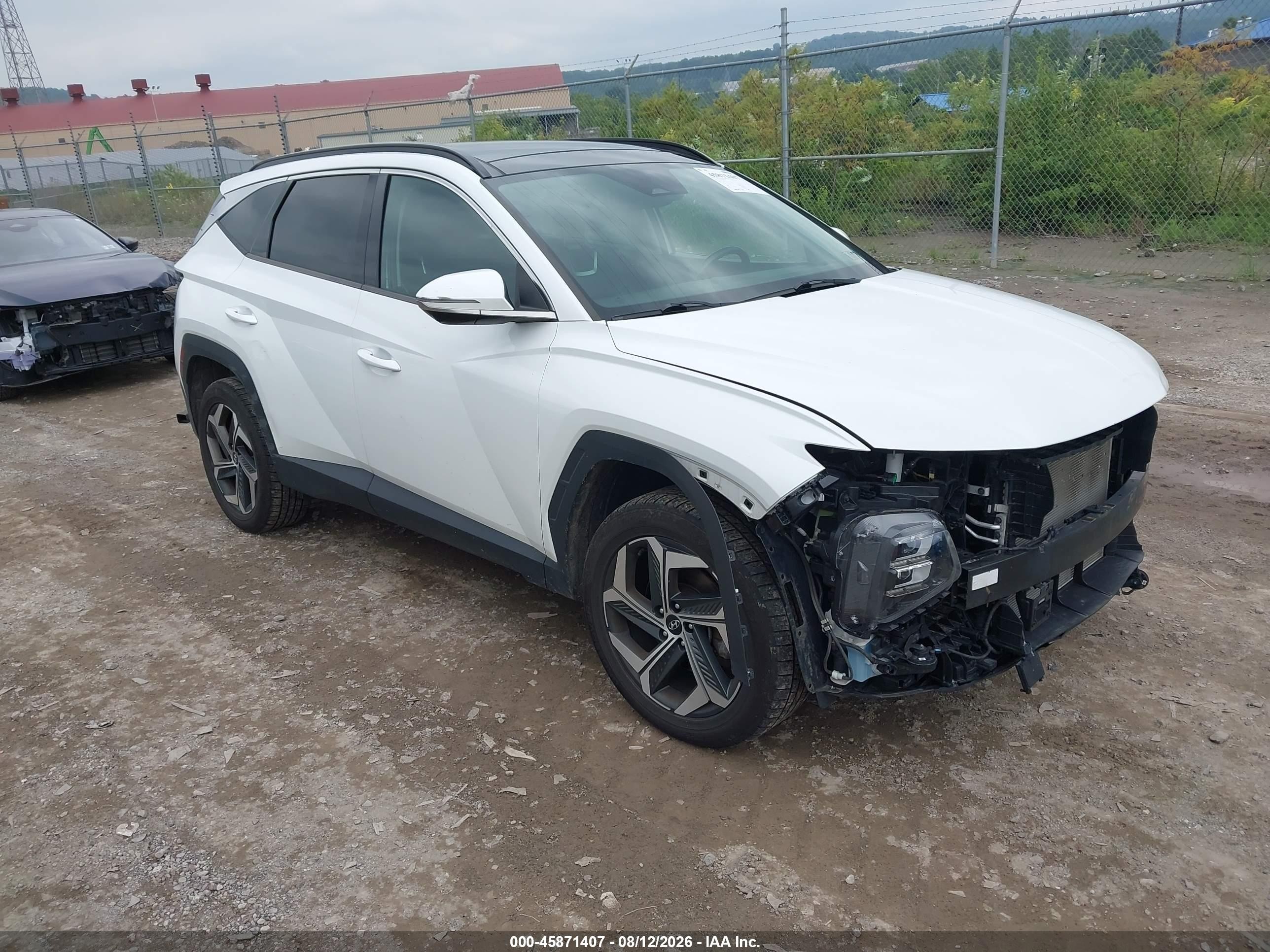 2022 Hyundai Tucson VIN 5NMJECAE6NH008189 — IAAI salvage auction photo