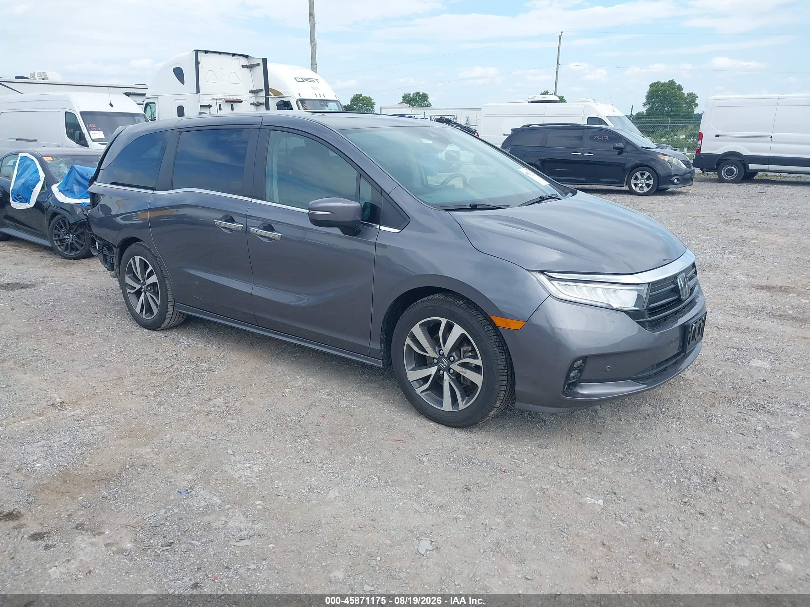 2024 Honda Odyssey VIN 5FNRL6H81RB023586 — IAAI salvage auction photo