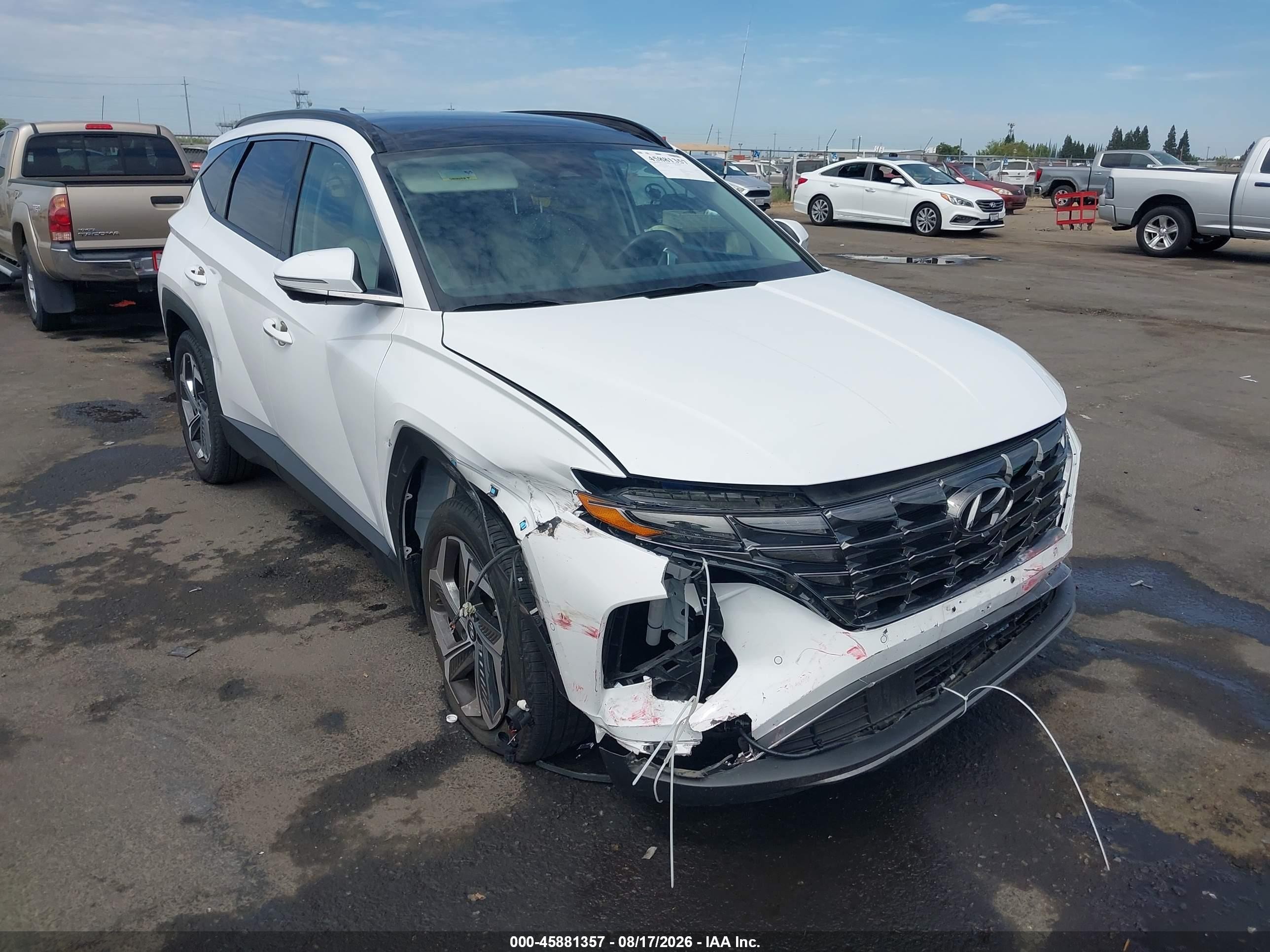 2024 Hyundai Tucson VIN 5NMJECDEXRH382998 — IAAI salvage auction photo