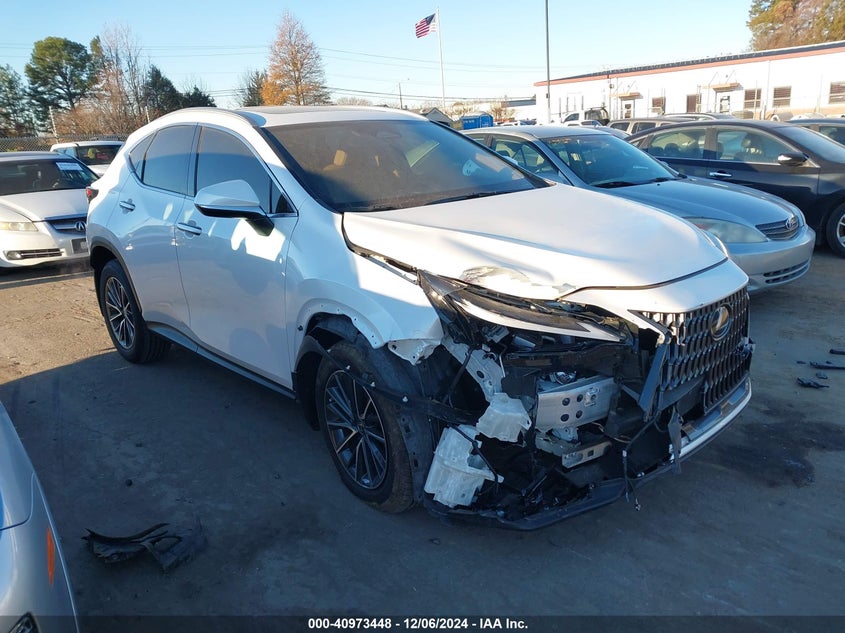 2024 LEXUS NX 250 VIN JTJGDCAZ0R5021297 — COPART salvage auction photo