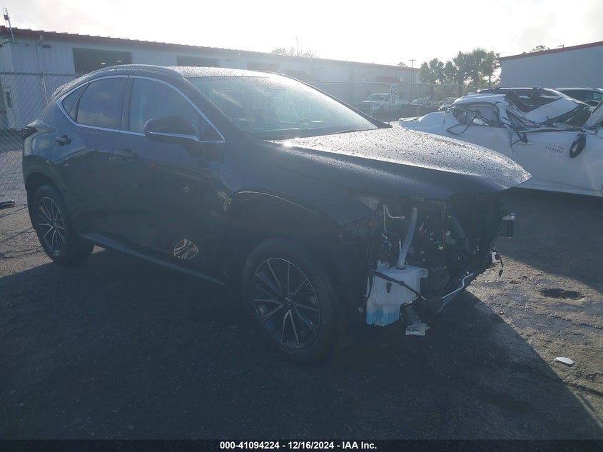 2024 LEXUS NX 250 VIN 2T2ADCAZXRC014428 — COPART salvage auction photo