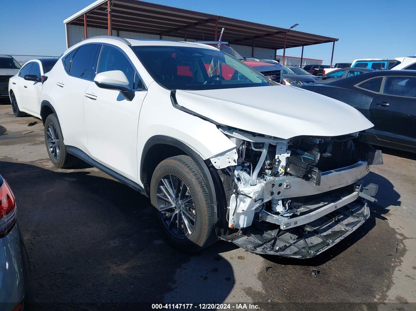2024 LEXUS NX 250 VIN 2T2GDCAZ5RC014945 — COPART salvage auction photo