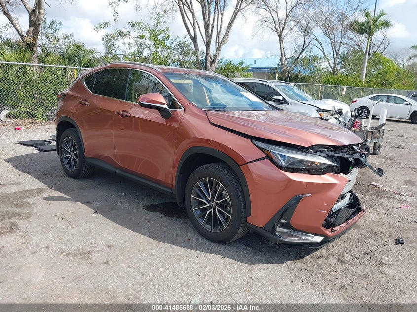2025 LEXUS NX 250 VIN 2T2ADCAZ5SC019123 — COPART salvage auction photo