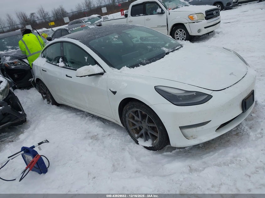 2021 Tesla Model 3 VIN 5YJ3E1EA3MF906222 IAAI salvage auction — REAR END, Mv-907A (New York), sold $5,800 on 2026-07-31 (photo 1)