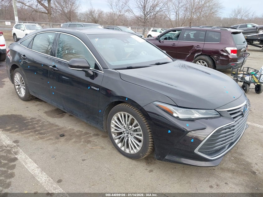 2019 Toyota Avalon VIN 4T1B21FB3KU010207 — IAAI salvage auction photo