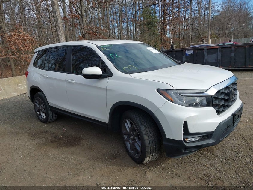 2023 Honda Passport VIN 5FNYF8H55PB010258 — IAAI salvage auction photo