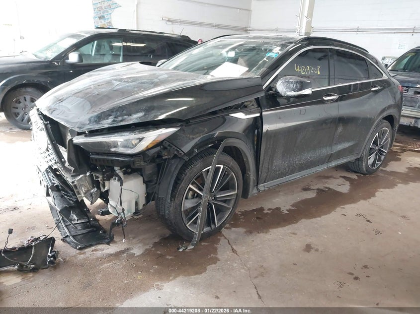 2023 Infiniti Qx55 VIN 3PCAJ5LR1PF124623 IAAI salvage auction — LEFT REAR, Salvage (Minnesota), sold $7,975 on 2026-07-29 (photo 2)