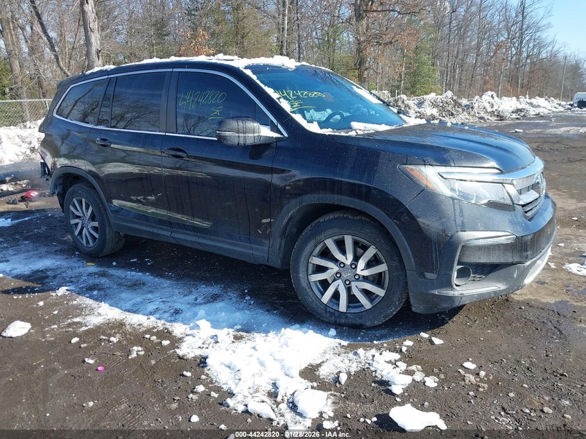 2019 Honda Pilot VIN 5FNYF6H56KB093051 IAAI salvage auction — REAR END, Salvage (Virginia), sold $4,950 on 2026-07-31 (photo 1)