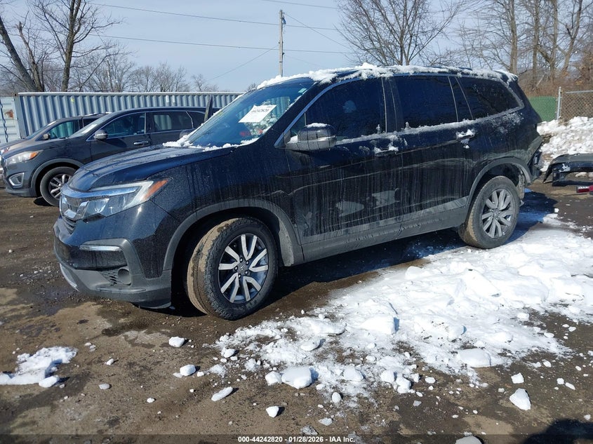 2019 Honda Pilot VIN 5FNYF6H56KB093051 IAAI salvage auction — REAR END, Salvage (Virginia), sold $4,950 on 2026-07-31 (photo 2)