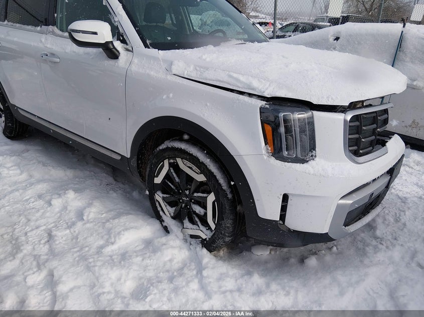 2025 Kia Telluride VIN 5XYP6DGC9SG657607 — IAAI salvage auction photo