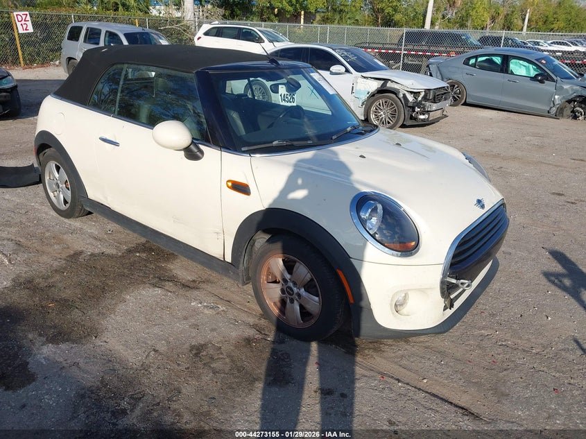 2019 Mini Convertible VIN WMWWG5C59K3H08419 IAAI salvage auction — WATER/FLOOD, Rebuildable (Florida), sold $775 on 2026-07-29 (photo 1)