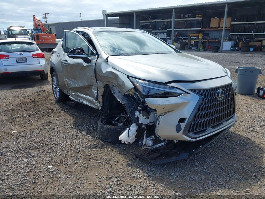 2024 Lexus Nx 350h VIN JTJHKCEZXR2032099 IAAI salvage auction — RIGHT SIDE, Salvage (Hawaii), sold $3,225 on 2026-07-21 (photo 1)