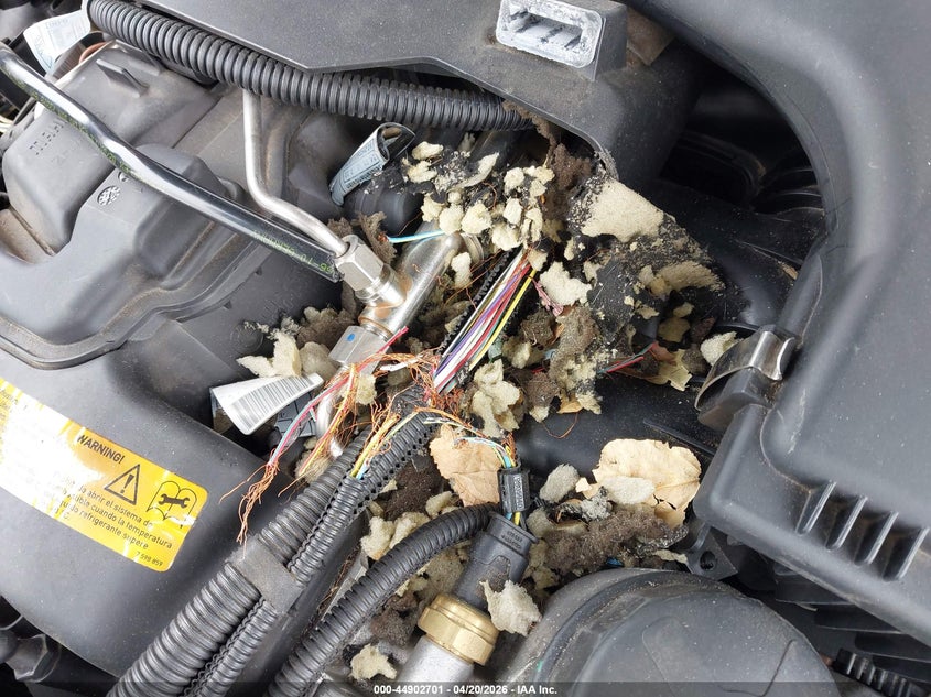 2011 BMW 3er VIN WBAKF9C56BE261817 IAAI salvage auction — BIOHAZARD/CHEMICAL, Salvage (Oregon), sold $3,800 on 2026-07-16 (photo 6)