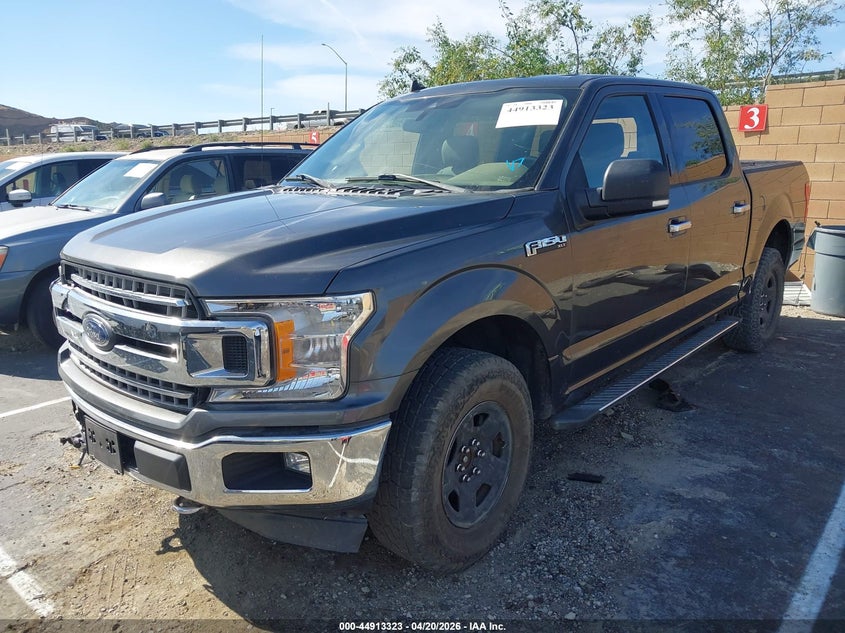 2019 Ford F-150 VIN 1FTEW1E49KKC77985 IAAI salvage auction — RIGHT SIDE, Wait Title, sold $7,050 on 2026-07-12 (photo 2)