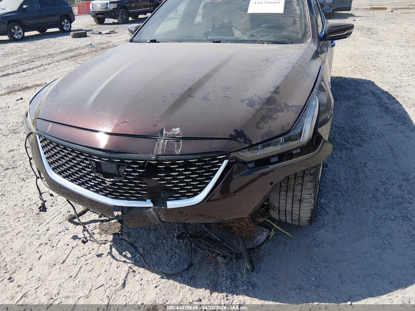 2021 Cadillac Ct5 VIN 1G6DN5RW8M0143441 IAAI salvage auction — FRONT END, Salvage (South Carolina), sold $8,950 on 2026-09-11 (photo 6)