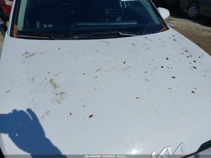 2023 Kia Sportage VIN 5XYK33AF1PG061186 IAAI salvage auction — HAIL, Salvage (Illinois), sold $6,500 on 2026-07-14 (photo 6)