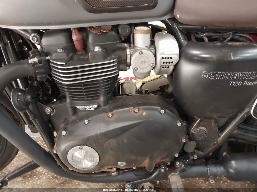2016 Triumph motorcycle Bonneville VIN SMTD40HL1GT756841 IAAI salvage auction — FRONT END, Salvage (Georgia), sold $975 on 2026-07-07 (photo 9)