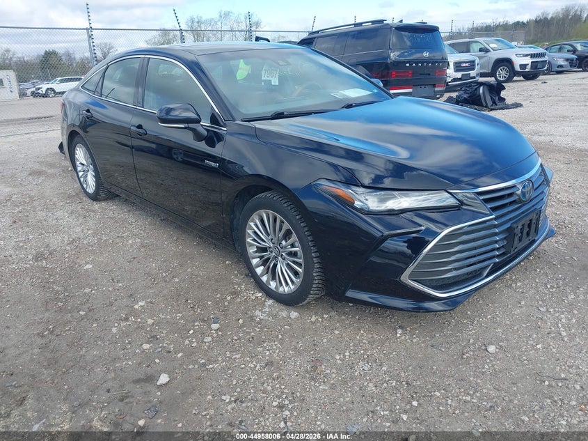 2019 Toyota Avalon VIN 4T1B21FB0KU006261 — IAAI salvage auction photo