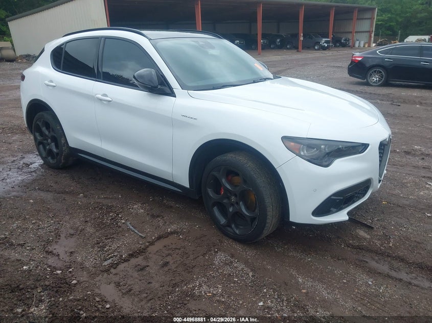2024 Alfa romeo Stelvio VIN ZASPAKBN8R7D70575 — IAAI salvage auction photo