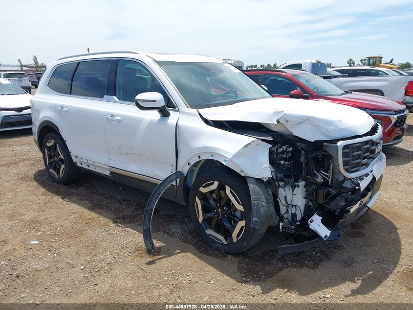 2024 Kia Telluride VIN 5XYP64GC8RG562997 IAAI salvage auction — RIGHT SIDE, Salvage (California), sold $6,975 on 2026-07-29 (photo 1)