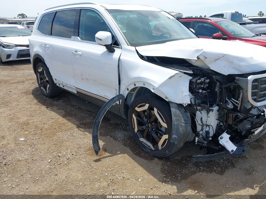 2024 Kia Telluride VIN 5XYP64GC8RG562997 IAAI salvage auction — RIGHT SIDE, Salvage (California), sold $6,975 on 2026-07-29 (photo 6)