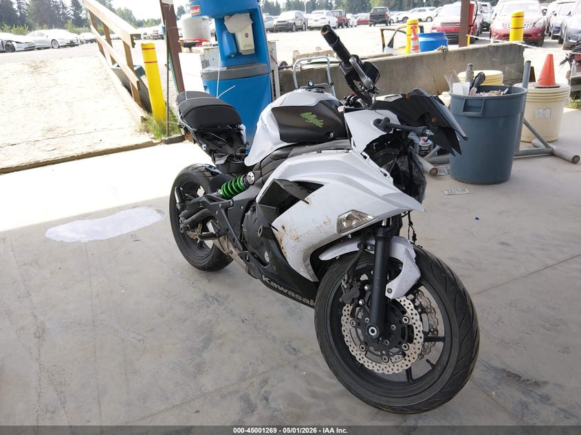 2015 Kawasaki Ninja VIN JKAEXEE17FDA18137 IAAI salvage auction — LEFT & RIGHT, Wait Title, sold $350 on 2026-07-29 (photo 1)