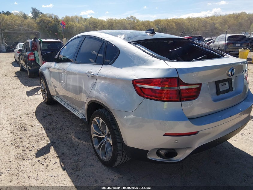 2013 BMW X6 VIN 5UXFG2C59DL783976 IAAI salvage auction — HAIL, Junk Bill Of Sale Mv2459 (Wisconsin), sold $1,250 on 2026-07-22 (photo 3)