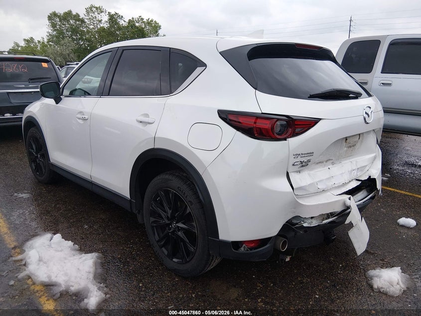 2019 Mazda Cx-5 VIN JM3KFBDM8K0655100 IAAI salvage auction — REAR END, Salvage (Colorado), sold $3,800 on 2026-07-28 (photo 3)