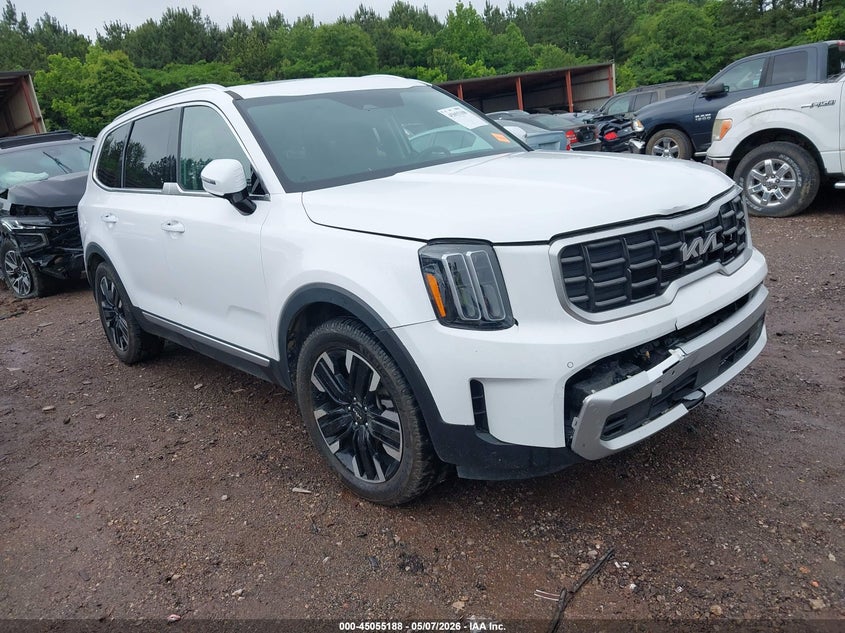 2024 Kia Telluride VIN 5XYP54GC9RG535164 — IAAI salvage auction photo