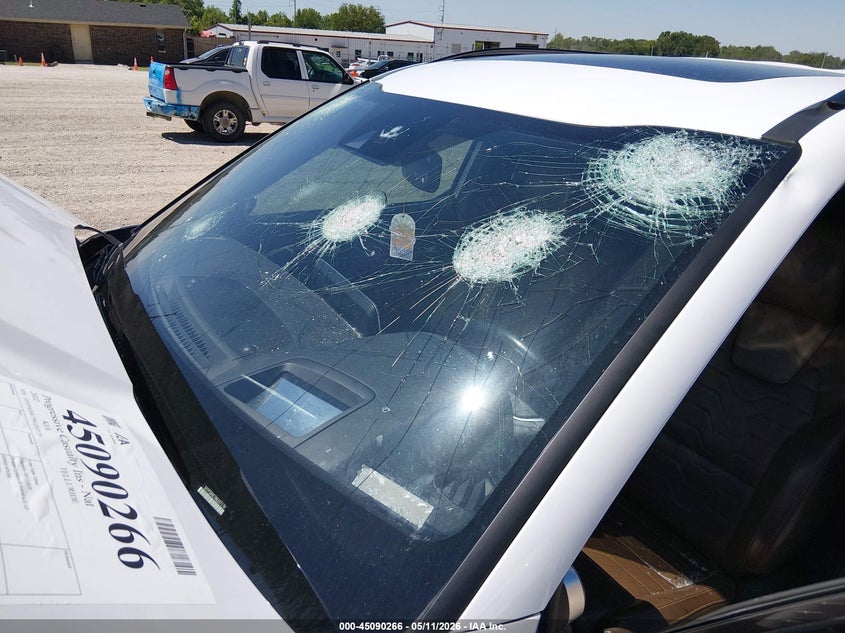 2022 Kia Telluride VIN 5XYP5DHC7NG207170 IAAI salvage auction — HAIL, Clear (Missouri), sold $3,150 on 2026-07-13 (photo 6)