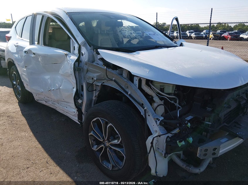 2020 Honda Cr-v VIN 7FARW1H86LE021306 IAAI salvage auction — RIGHT SIDE, Salvage (Louisiana), sold $7,475 on 2026-07-13 (photo 6)