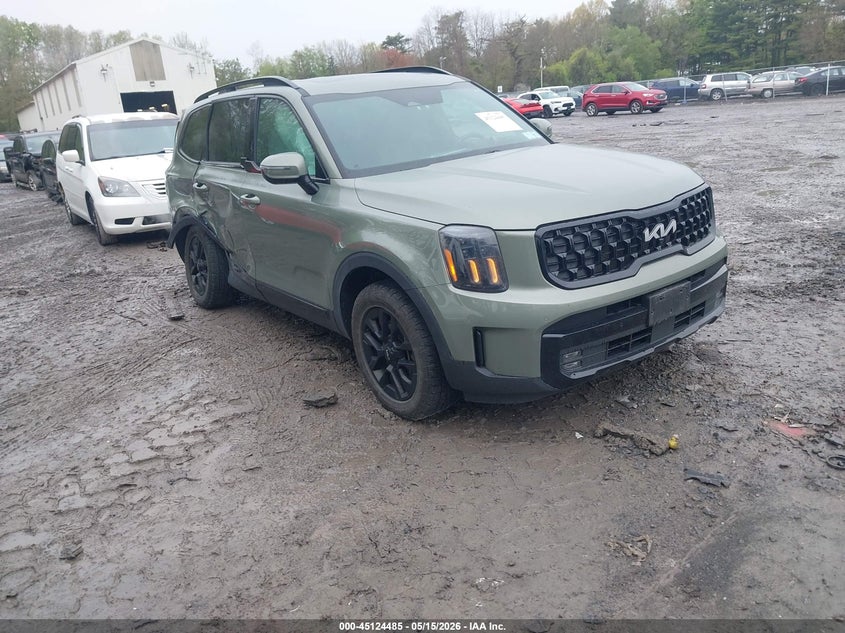 2024 Kia Telluride VIN 5XYP5DGC8RG461204 IAAI salvage auction — RIGHT SIDE, Mv-907A (New York), sold $12,900 on 2026-07-14 (photo 1)