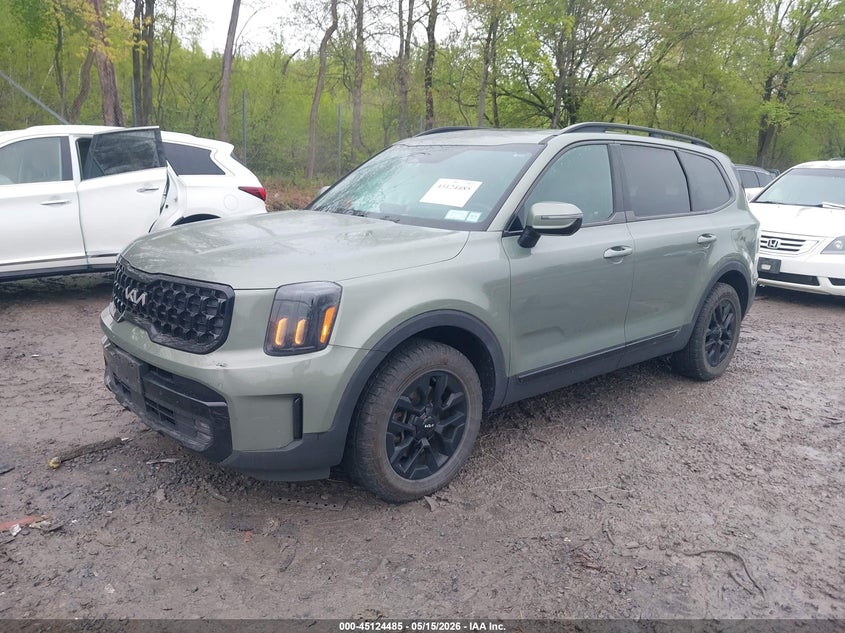 2024 Kia Telluride VIN 5XYP5DGC8RG461204 IAAI salvage auction — RIGHT SIDE, Mv-907A (New York), sold $12,900 on 2026-07-14 (photo 2)