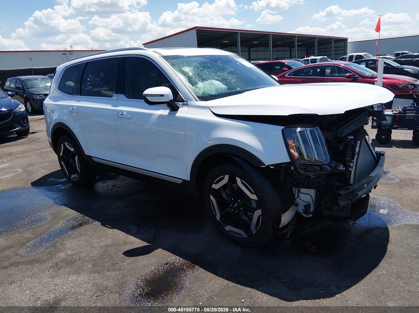 2025 Kia Telluride VIN 5XYP64GC2SG567991 — IAAI salvage auction photo