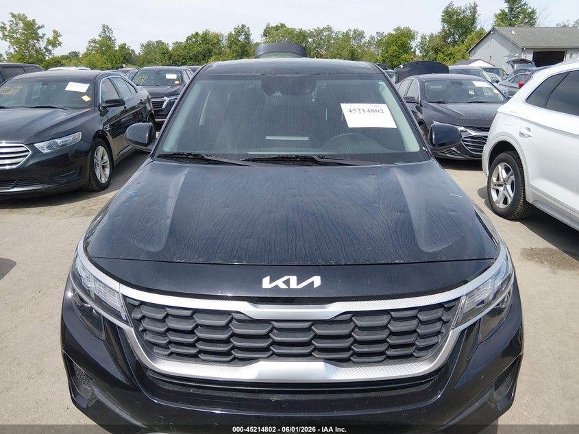 2022 Kia Seltos VIN KNDEPCAA5N7238113 IAAI salvage auction — HAIL, Salvage Title, sold $6,325 on 2026-07-07 (photo 6)