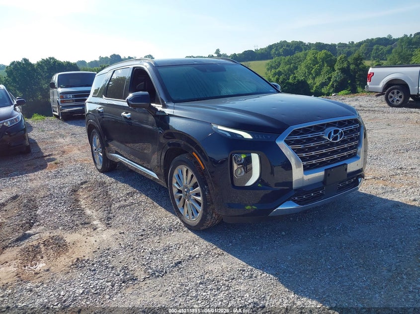 2020 Hyundai Palisade VIN KM8R5DHE9LU039209 IAAI salvage auction — HAIL, Salvage Title, sold $5,300 on 2026-07-27 (photo 1)