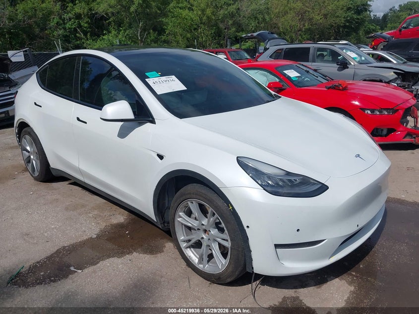 2021 Tesla Model y VIN 5YJYGDEE9MF304896 — IAAI salvage auction photo