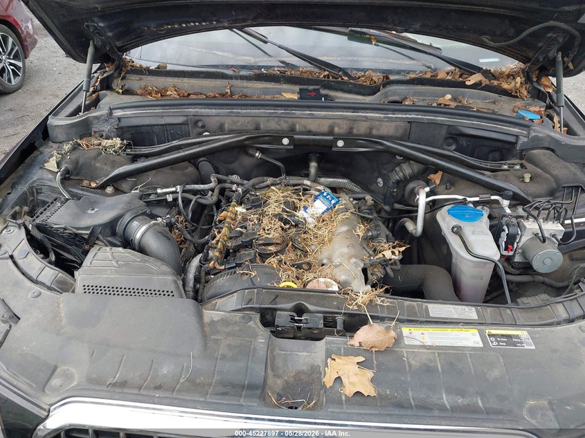 2013 Audi Q5 VIN WA1LFAFP5DA011804 IAAI salvage auction — NORMAL WEAR, Clear (Montana), sold $250 on 2026-07-29 (photo 6)
