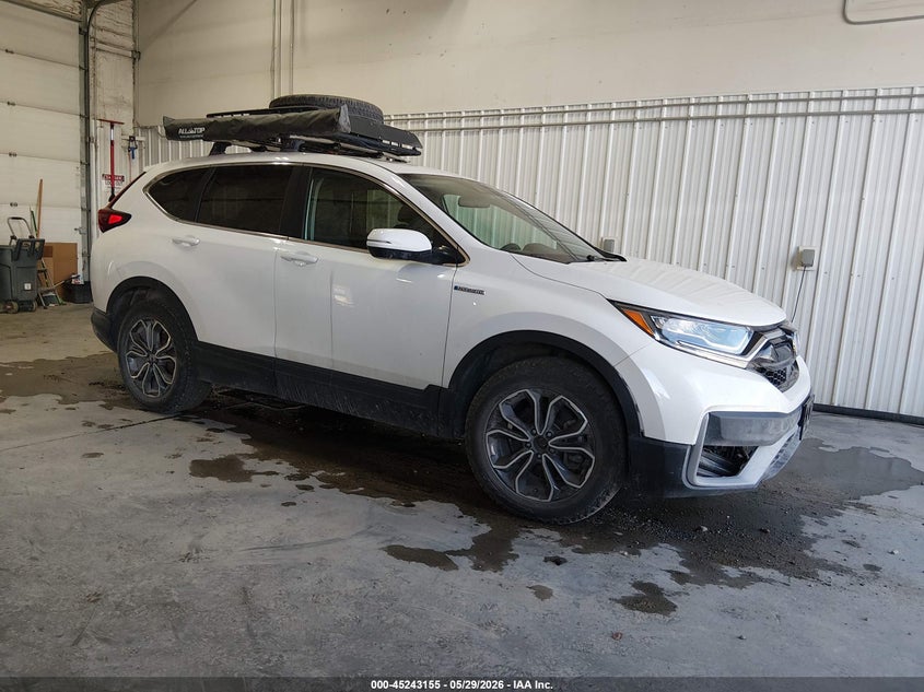 2022 Honda Cr-v VIN 5J6RT6H59NL006025 — IAAI salvage auction photo
