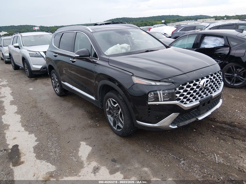 2023 Hyundai Santa fe VIN 5NMS4DAL7PH516976 — IAAI salvage auction photo