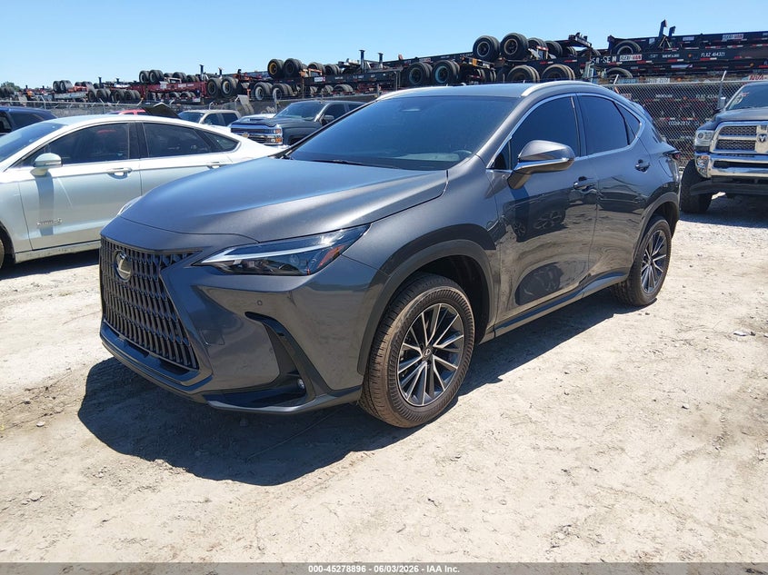 2025 Lexus Nx VIN 2T2GDCAZ3SC029207 IAAI salvage auction — REAR END, Salvage (Georgia), sold $13,600 on 2026-07-26 (photo 2)