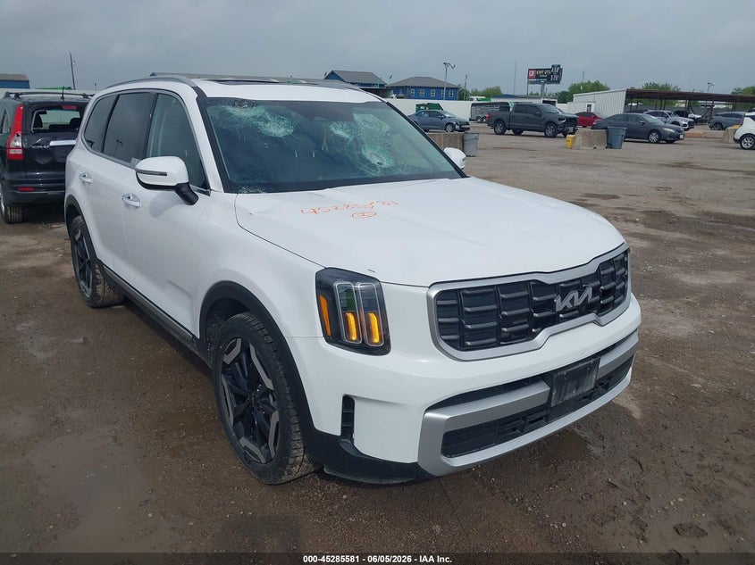 2024 Kia Telluride VIN 5XYP6DGC6RG529710 — IAAI salvage auction photo