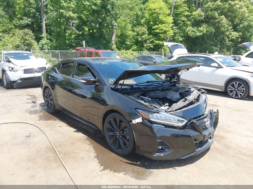 2023 Nissan Maxima VIN 1N4AA6EV0PC513563 — IAAI salvage auction photo