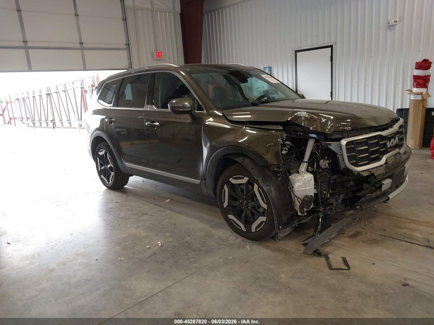 2024 Kia Telluride VIN 5XYP6DGC6RG561458 — IAAI salvage auction photo