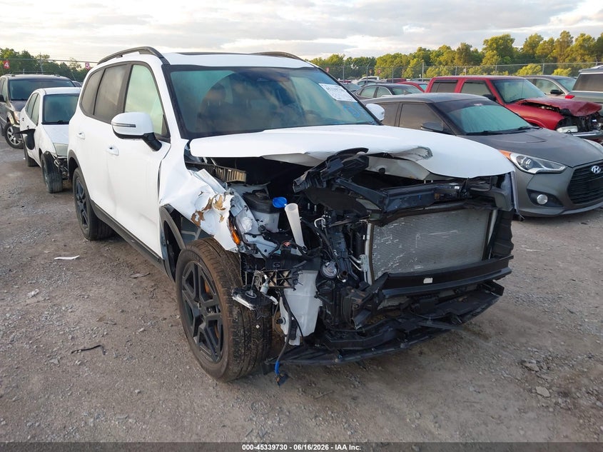 2025 Kia Telluride VIN 5XYP5DGC6SG715420 IAAI salvage auction — FRONT END, Salvage (Kentucky), sold $14,300 on 2026-07-20 (photo 6)