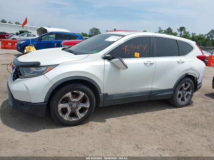 2019 Honda Cr-v VIN 7FARW1H58KE019691 IAAI salvage auction — SIDE, Salvage (Virginia), sold $5,400 on 2026-07-30 (photo 6)